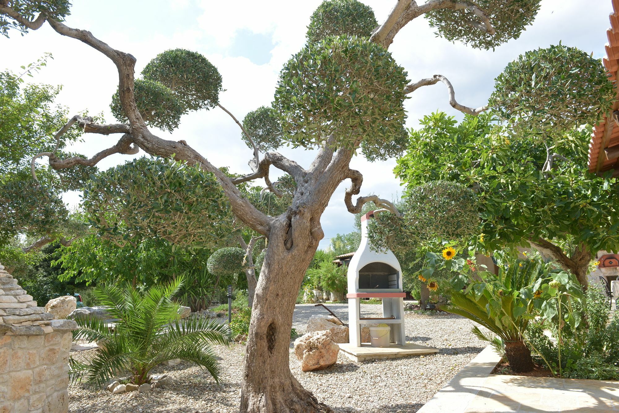 אלברובלו Masseria Pentima Vetrana Resort מראה חיצוני תמונה